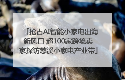 抢占AI智能小家电出海新风口 超100家跨境卖家探访慈溪小家电产业带