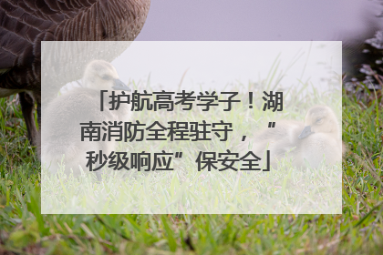 护航高考学子！湖南消防全程驻守，“秒级响应”保安全