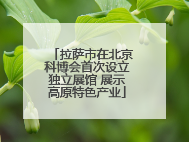 拉萨市在北京科博会首次设立独立展馆 展示高原特色产业
