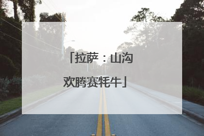 拉萨：山沟欢腾赛牦牛