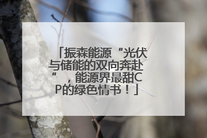 振森能源“光伏与储能的双向奔赴”，能源界最甜CP的绿色情书！