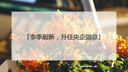 李季履新，升任央企副总