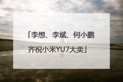 李想、李斌、何小鹏齐祝小米YU7大卖