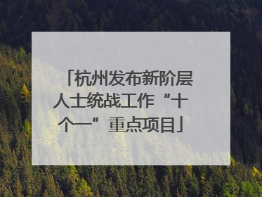 杭州发布新阶层人士统战工作“十个一”重点项目