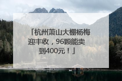 杭州萧山大棚杨梅迎丰收，96颗能卖到400元！