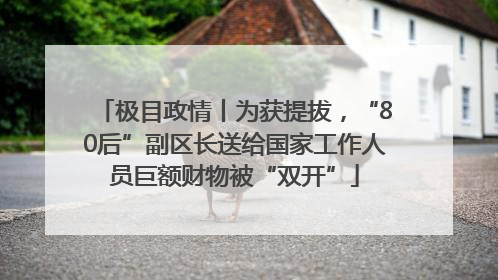 极目政情丨为获提拔，“80后”副区长送给国家工作人员巨额财物被“双开”