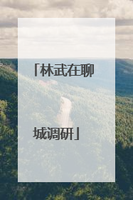 林武在聊城调研