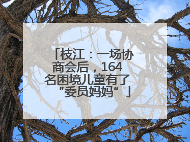 枝江：一场协商会后，164名困境儿童有了“委员妈妈”