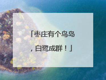 枣庄有个鸟岛，白鹭成群！