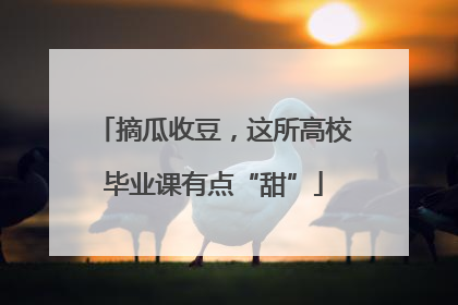 摘瓜收豆，这所高校毕业课有点“甜”