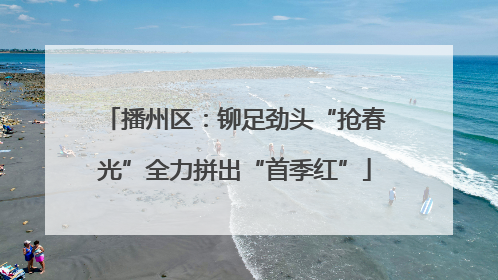 播州区：铆足劲头“抢春光”全力拼出“首季红”
