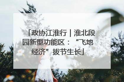 政协江淮行｜淮北段园新型功能区：“飞地经济”拔节生长