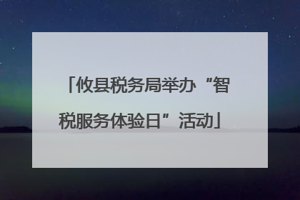 攸县税务局举办“智税服务体验日”活动