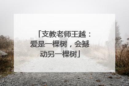 支教老师王越：爱是一棵树，会撼动另一棵树
