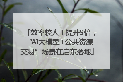 效率较人工提升9倍，“AI大模型+公共资源交易”场景在启东落地