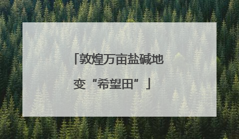 敦煌万亩盐碱地变“希望田”