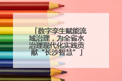 数字孪生赋能流域治理，为全省水治理现代化实践贡献“长沙智慧”