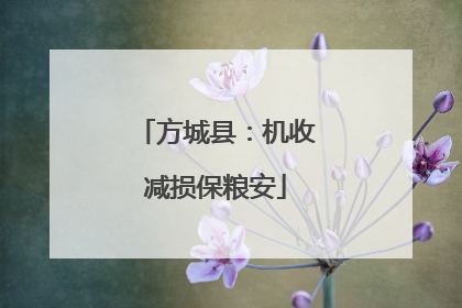 方城县：机收减损保粮安
