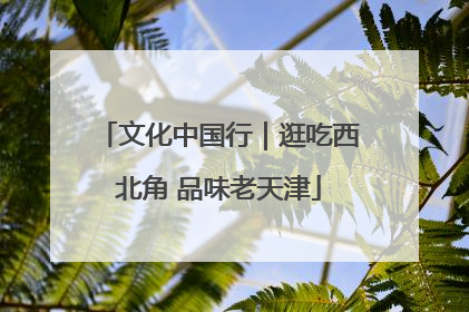 文化中国行｜逛吃西北角 品味老天津