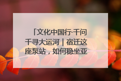 文化中国行·千问千寻大运河｜宿迁这座泵站，如何稳坐亚洲第一宝座？