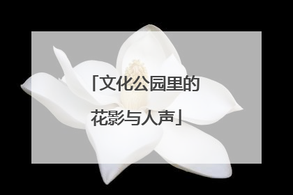 文化公园里的花影与人声