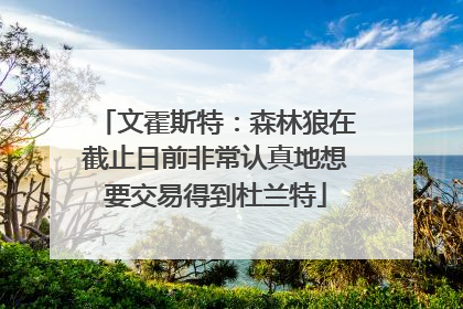 文霍斯特：森林狼在截止日前非常认真地想要交易得到杜兰特