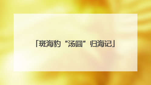 斑海豹“汤圆”归海记