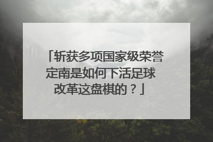 斩获多项国家级荣誉 定南是如何下活足球改革这盘棋的？