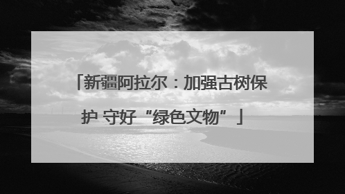 新疆阿拉尔：加强古树保护 守好“绿色文物”