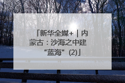 新华全媒+｜内蒙古：沙海之中建“蓝海”(2)