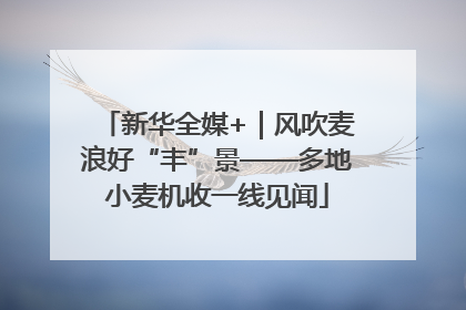 新华全媒+｜风吹麦浪好“丰”景——多地小麦机收一线见闻