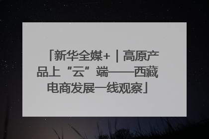 新华全媒+｜高原产品上“云”端——西藏电商发展一线观察
