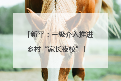 新平：三级介入推进乡村“家长夜校”