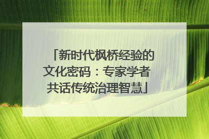 新时代枫桥经验的文化密码：专家学者共话传统治理智慧