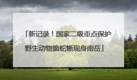新记录！国家二级重点保护野生动物脆蛇蜥现身南岳