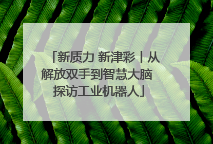 新质力 新津彩丨从解放双手到智慧大脑 探访工业机器人