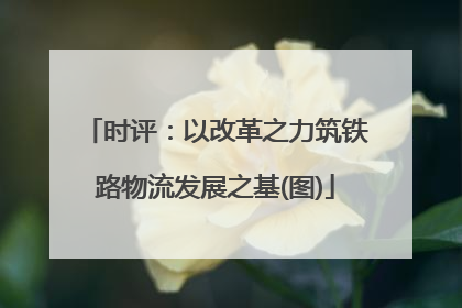 时评：以改革之力筑铁路物流发展之基(图)