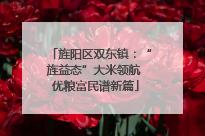 旌阳区双东镇：“旌益态”大米领航 优粮富民谱新篇