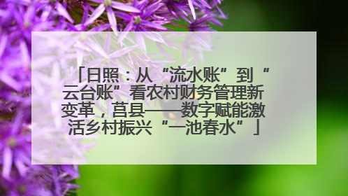 日照：从“流水账”到“云台账”看农村财务管理新变革，莒县——数字赋能激活乡村振兴“一池春水”