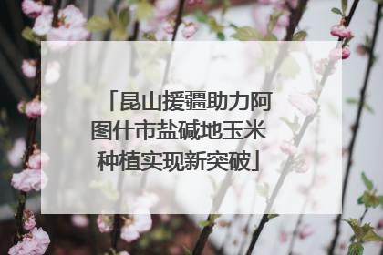 昆山援疆助力阿图什市盐碱地玉米种植实现新突破