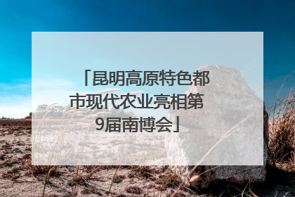 昆明高原特色都市现代农业亮相第9届南博会