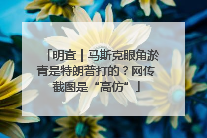 明查｜马斯克眼角淤青是特朗普打的？网传截图是“高仿”