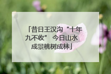 昔日王汉沟“十年九不收” 今日山水成景桃树成林