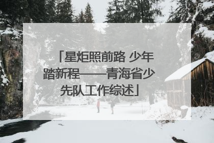 星炬照前路 少年踏新程——青海省少先队工作综述
