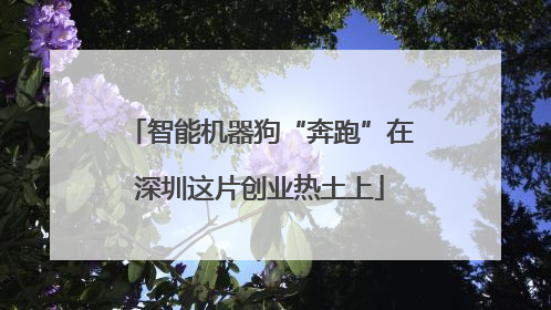 智能机器狗“奔跑”在深圳这片创业热土上