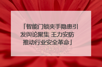 智能门锁夹手隐患引发舆论聚集 王力安防推动行业安全革命