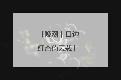 晚潮｜日边红杏倚云栽