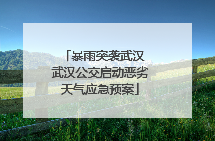 暴雨突袭武汉 武汉公交启动恶劣天气应急预案