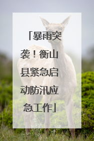 暴雨突袭！衡山县紧急启动防汛应急工作