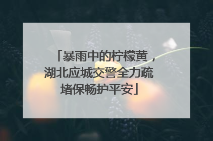 暴雨中的柠檬黄，湖北应城交警全力疏堵保畅护平安
